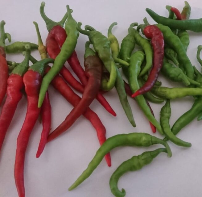 Long Red Thin Cayenne Pepper Seeds | Hot | Heirloom | Organic