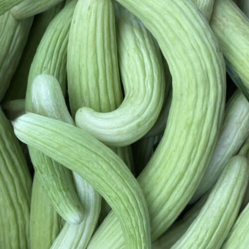 Armenian Cucumber Seeds | Heirloom