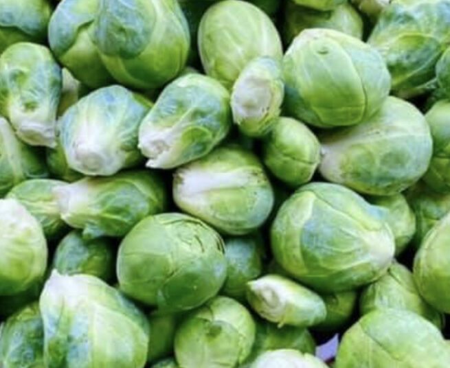 Catskill Brussels Sprout Seeds | Heirloom | Organic