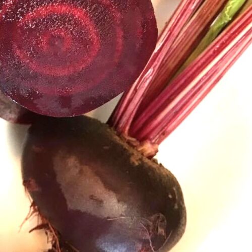 Crosby Egyptian Beet Seeds | Heirloom | Organic