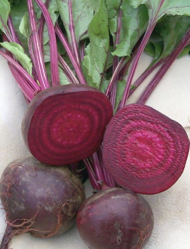 Crosby Egyptian Beet Seeds | Heirloom | Organic