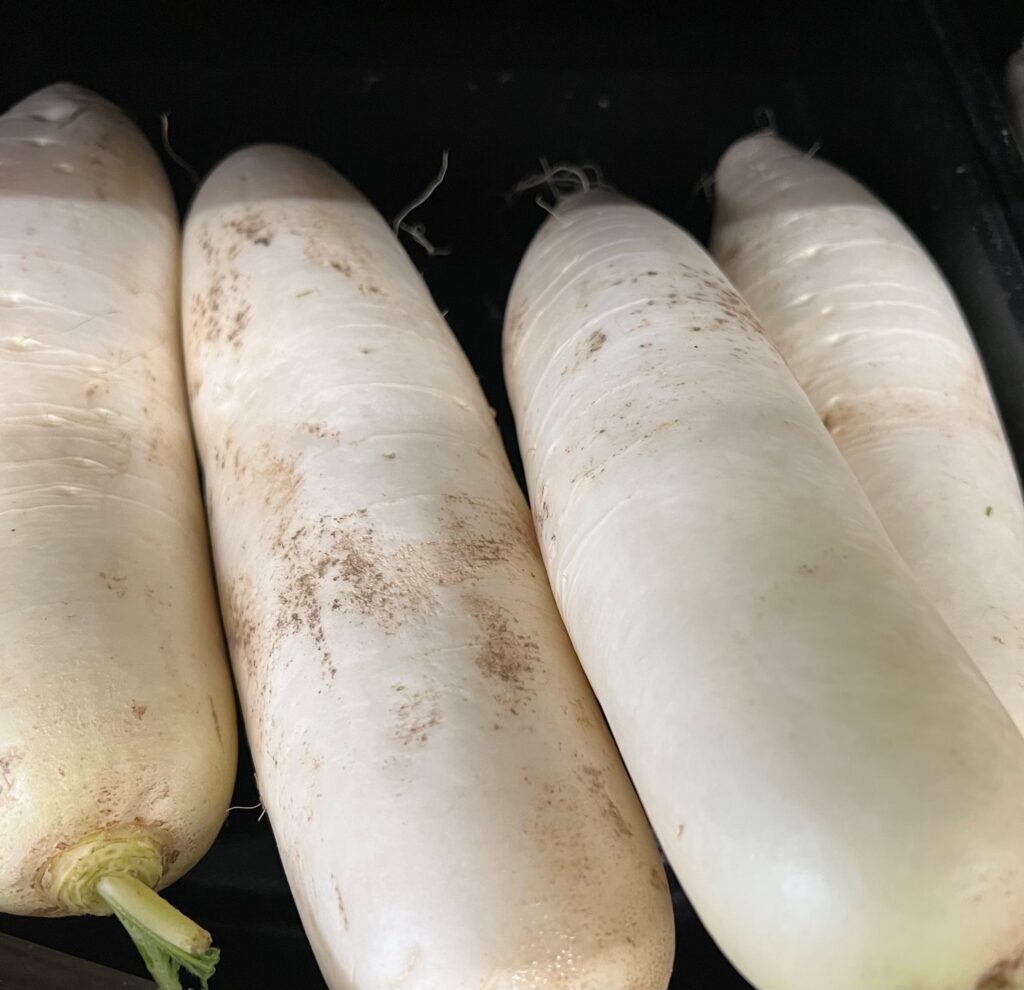 Daikon Radish Seeds | Heirloom | Tim's Tomatoes