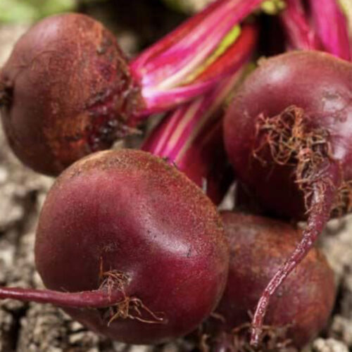Detroit Dark Red Beet Seeds | Heirloom | Organic