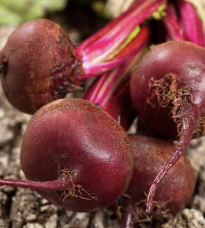 Detroit Dark Red Beet Seeds | Heirloom | Organic