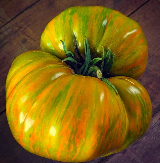 Green Berkeley Tie-Dye Tomato Seeds | Organic