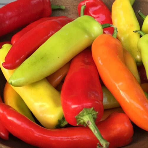 Hungarian Hot Wax Pepper Seeds | Organic