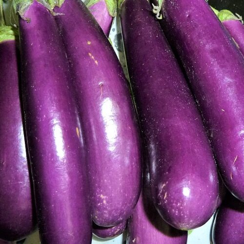 Long Purple Eggplant Seeds | Heirloom | Organic