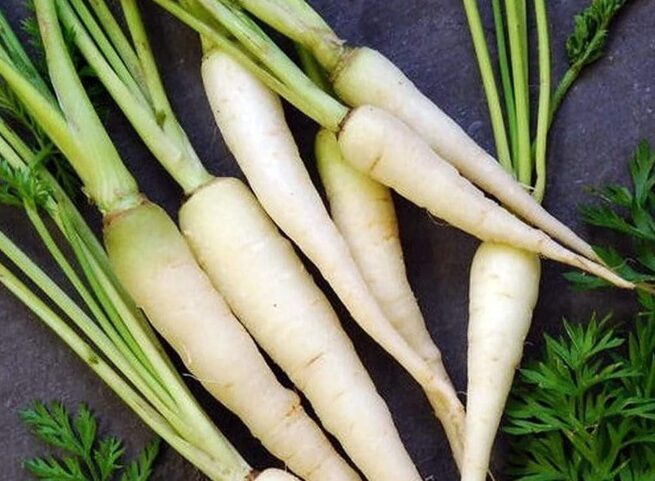 Lunar White Carrot Seeds | Heirloom | Organic