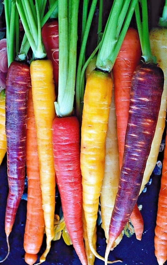 Heirloom Rainbow Carrot Mix | Heirloom | Organic | Rare Vegetables