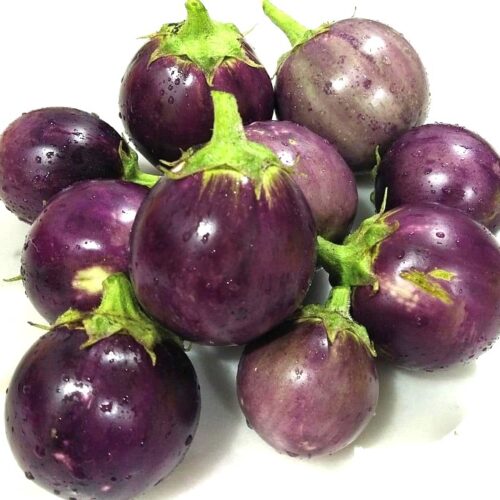 Round Purple Eggplant Seeds | Heirloom | Organic