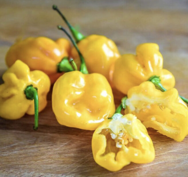 Small Yellow Cherry Habanero | Hot | Organic