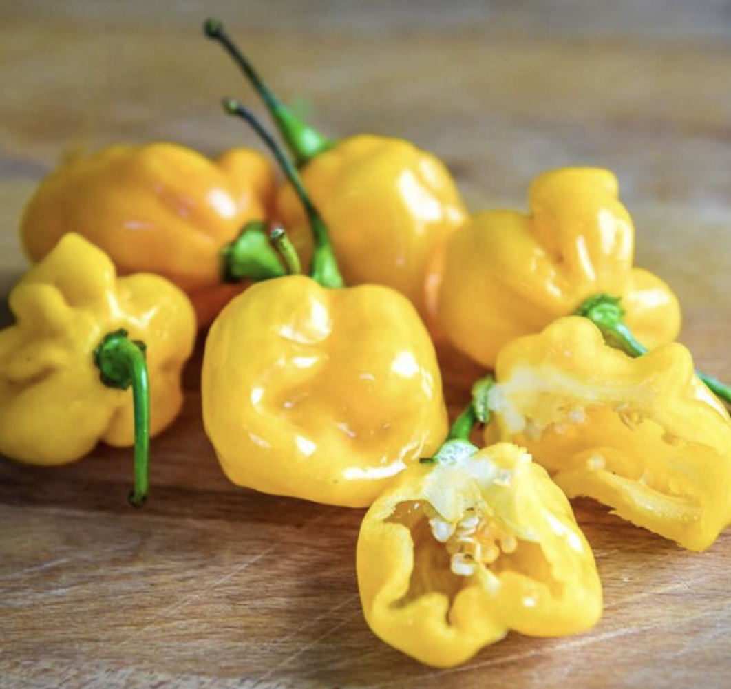 Small Yellow Cherry Habanero Hot Tim s Tomatoes