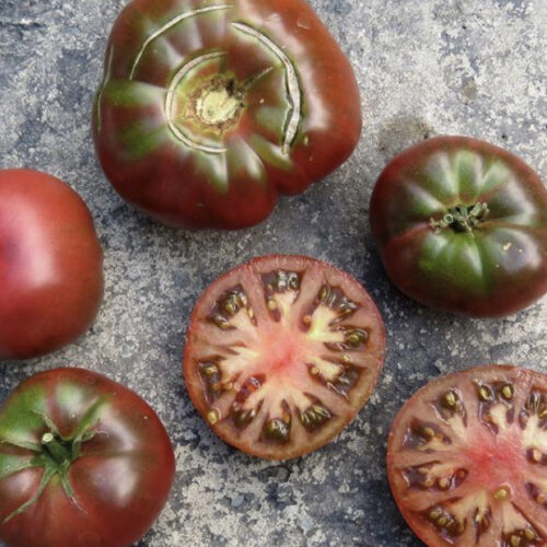 Black Brandywine Tomato (Regular Leaf) Seeds | Heirloom | Organic