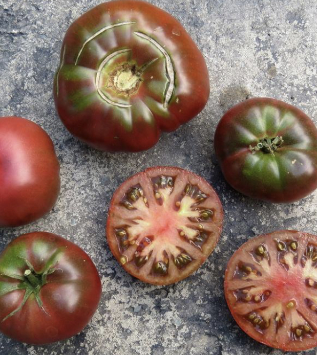 Black Brandywine Tomato (Regular Leaf) Seeds | Heirloom | Organic