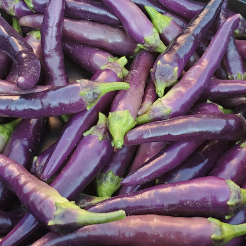 Purple Cayenne Pepper Seeds | Hot | Organic