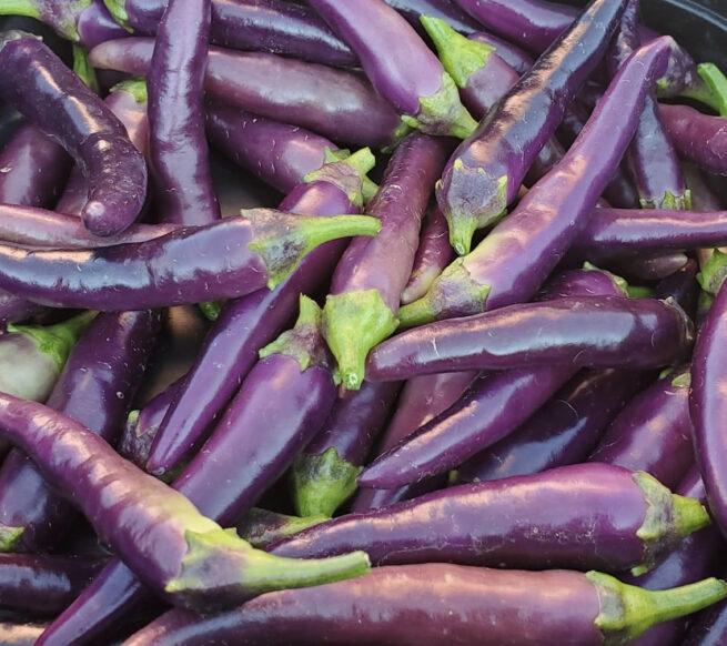 Purple Cayenne Pepper Seeds | Hot | Organic