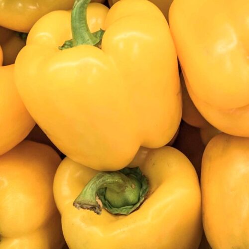 Canary Yellow Bell Pepper Seeds