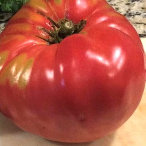 German Pink Tomato Seeds | Heirloom | Organic