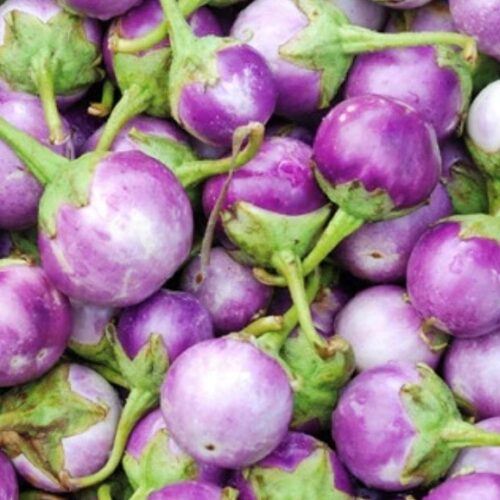 Round Mauve Eggplant Seeds | Organic