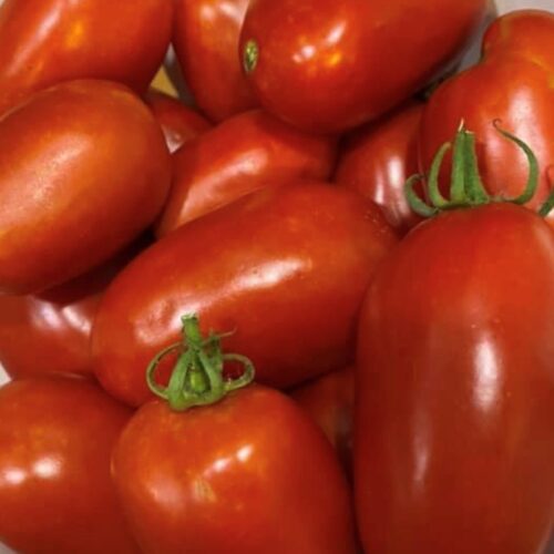 San Marzano 2 Tomato Seeds | Organic