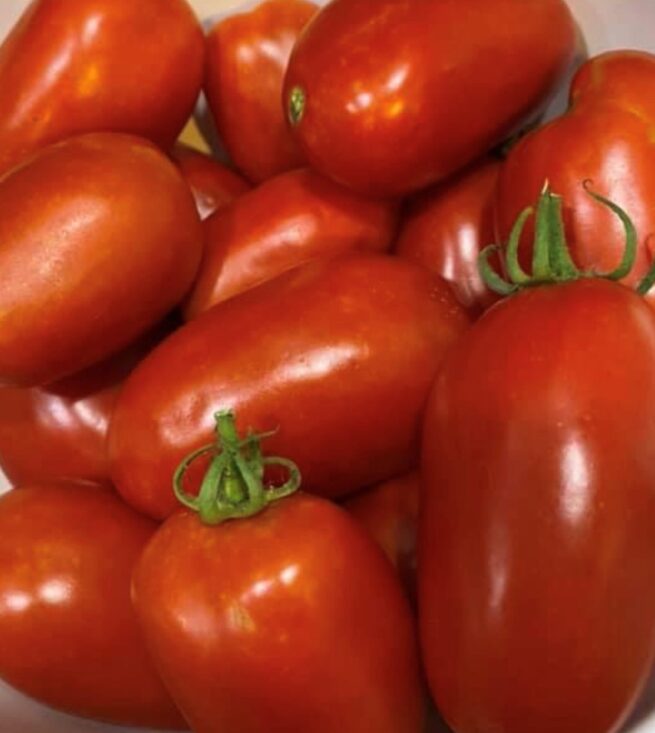 San Marzano 2 Tomato Seeds | Organic