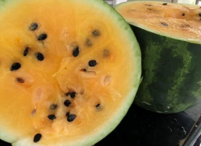 Tendersweet Orange Watermelon Seeds | Organic