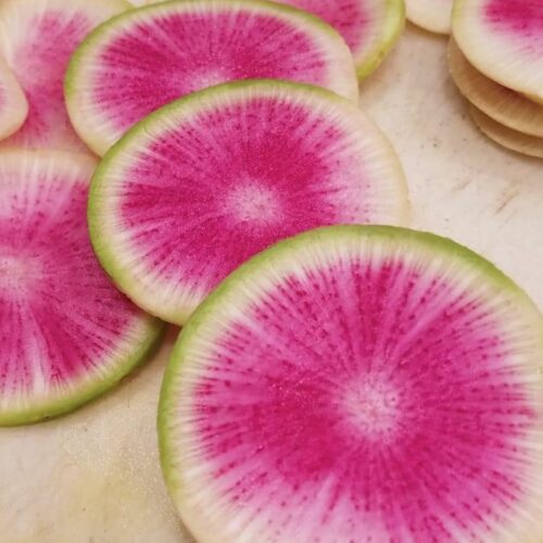 Watermelon Radish Seeds | Heirloom | Organic