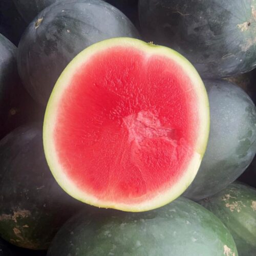 Green Flesh Honeydew Melon