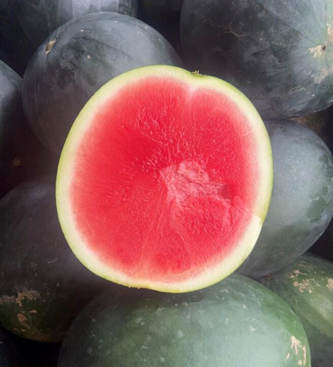 Black Diamond Watermelon Seeds | Heirloom | Organic