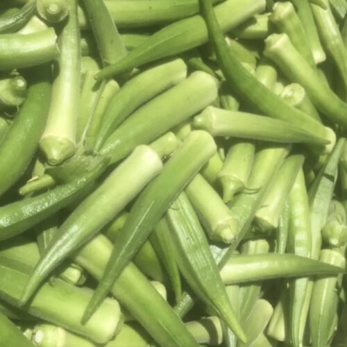 Okra