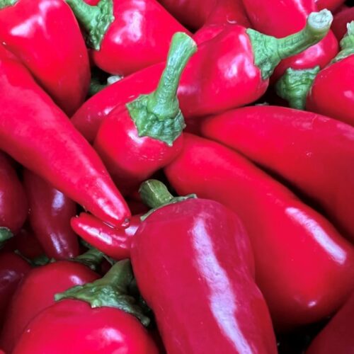 Fresno Pepper Seeds | Hot | Heirloom | Organic