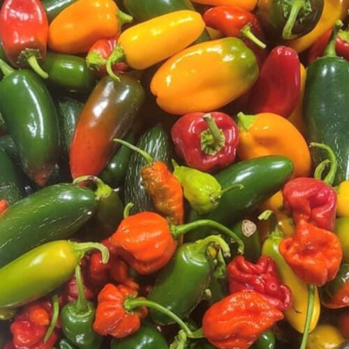 Hot Pepper Mix | Organic Seeds