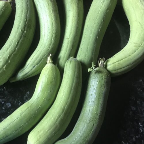 Luffa Gourd Seeds | Heirloom | Organic