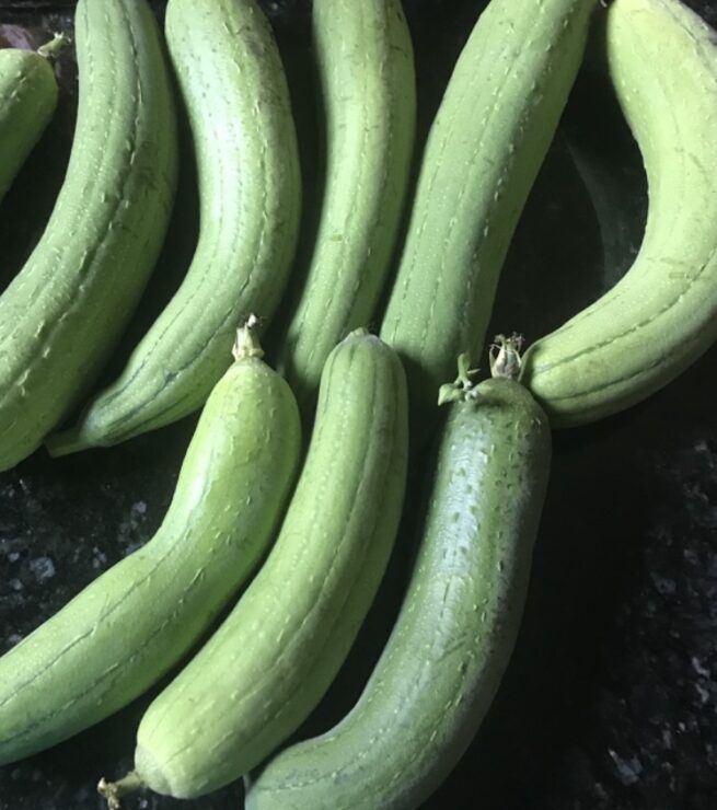 Luffa Gourd Seeds | Heirloom | Organic