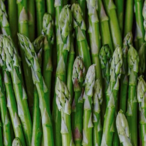 Mary Washington Asparagus Seeds | Organic