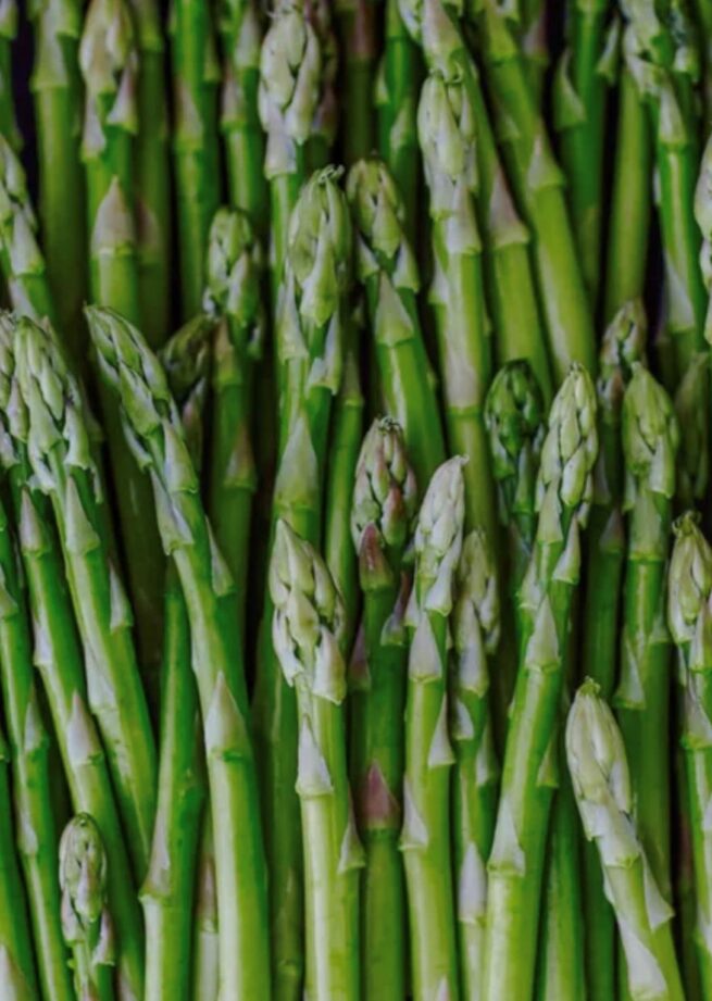 Mary Washington Asparagus Seeds | Organic