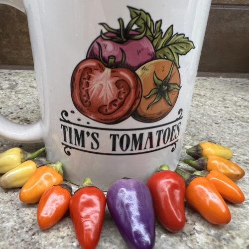 Chinese 5 Color Pepper Seeds | Hot | Organic