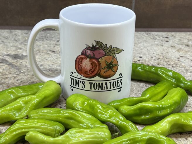 Shishito Pepper Seeds | Heirloom | Organic | TIm's Tomatoes