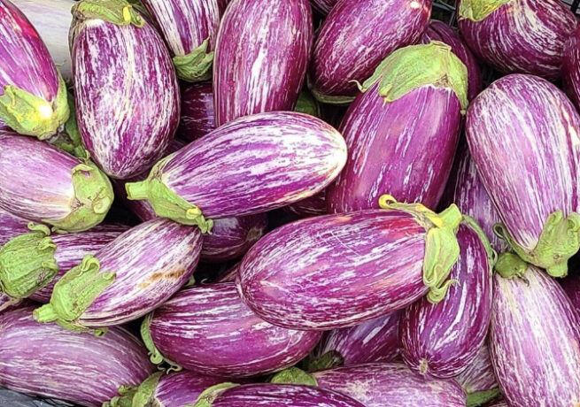 Shooting Stars Eggplant | Heirloom | Organic