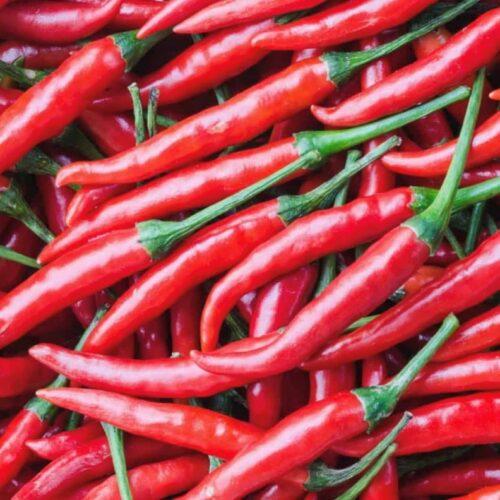 Sweet Cayenne Pepper Seeds | Heirloom | Organic