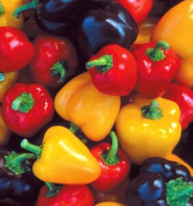 Mini Bell Pepper Seed Mix | Heirloom | Organic