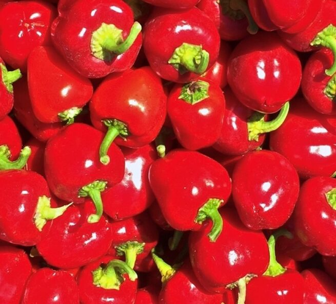 Mini Red Bell Pepper Seeds | Organic