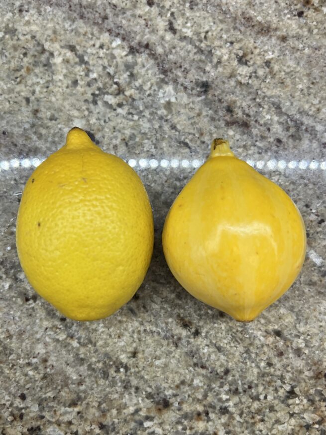 Lemon Squash Seeds