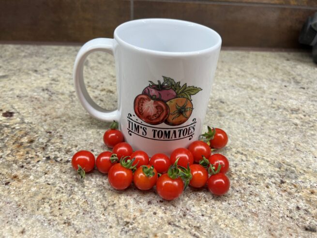 Everglades Tomato Seeds | Heirloom | Tim's Tomatoes