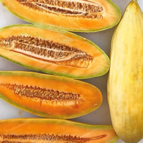 Banana Melon Seeds | Heirloom