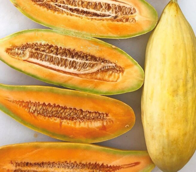 Banana Melon Seeds | Heirloom