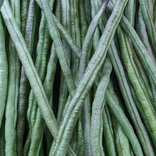 Dark Green Yard Long Bean Seeds