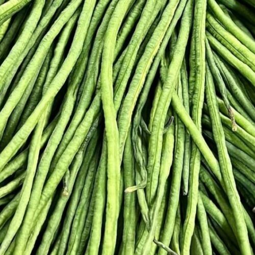 Oriental Yard Long Bean Seeds