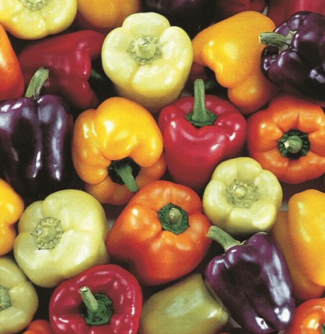 Rainbow Bell Pepper Mix | Seeds