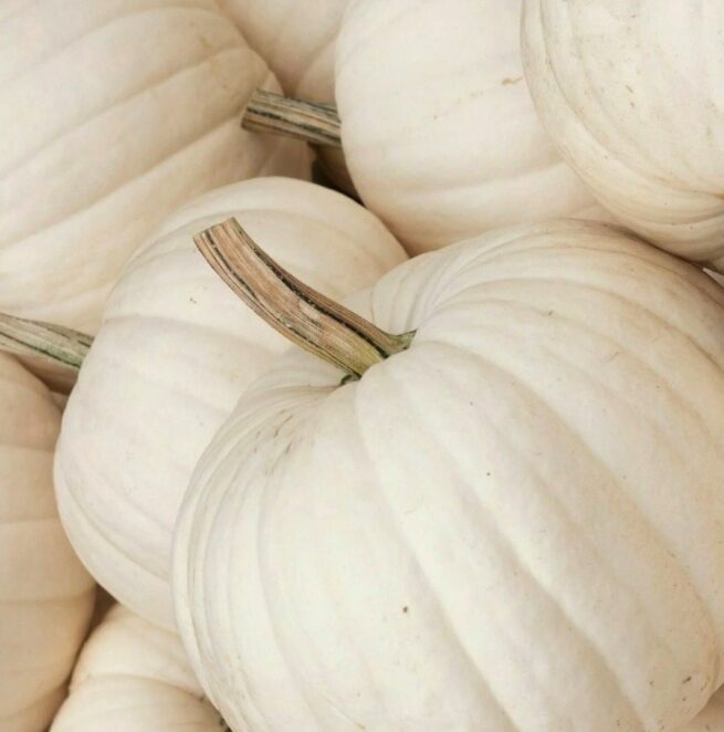 Casper Pumpkin Seeds